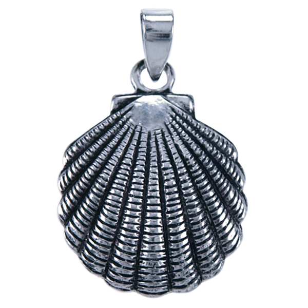 Zilver hanger Schelp
