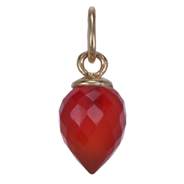Zilver hanger GP Karneool